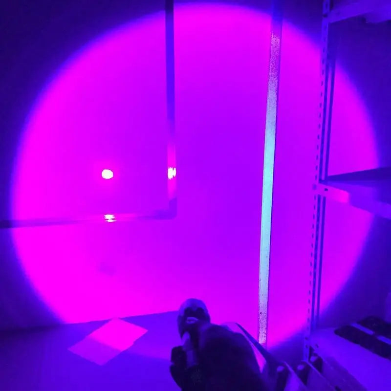 Rechargeable LED UV Flashlight with Black Light Pet Urine Stains Detector